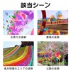 RICISUNG Windmill Set of 10, Gardening, 6 Sheets, 6 Colors,