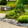 Rahato 1-2mm Coarse Sand for Plants, 6lbs Horticultural Sand for