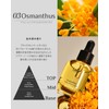 LADOR Perfume Hair Oil – Osmanthus Scent – Korean Cosmetics