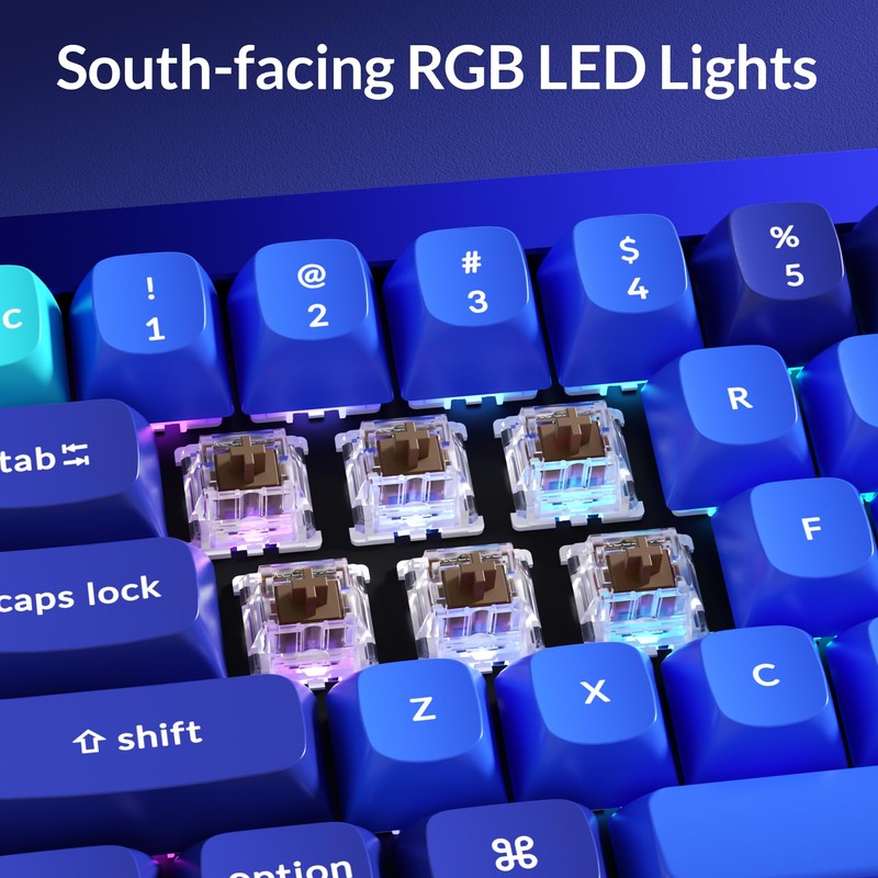 Keychron Q4 Wired Custom Mechanical Keyboard, 60% Layout QMK/VIA Programmable