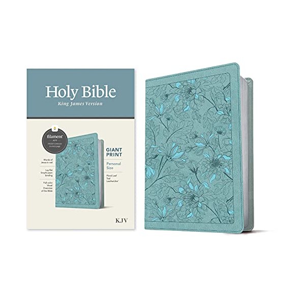 KJV Personal Size Giant Print Bible, Filament Enabled Edition (Red