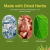 Herbs Etc. ChlorOxygen Chlorophyll Concentrate - Highly-Concentrated Energy Support -
