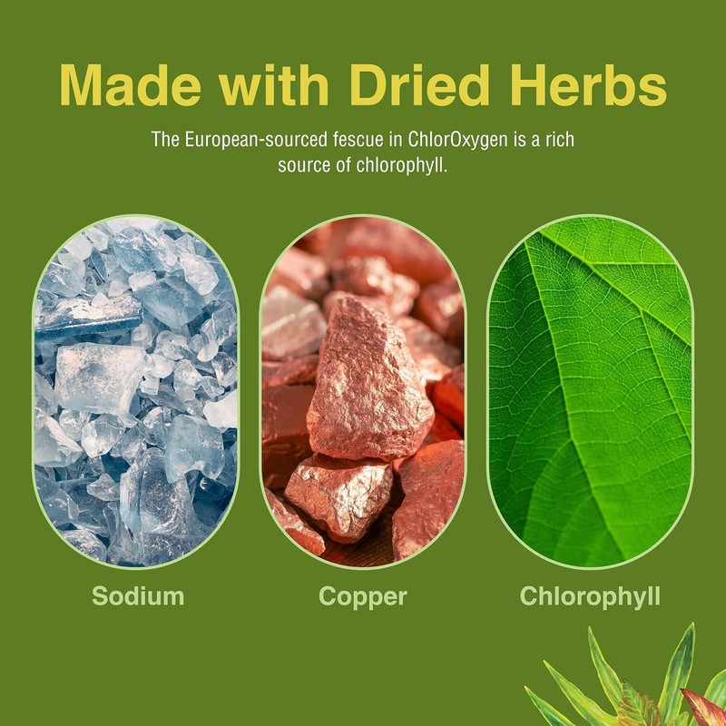 Herbs Etc. ChlorOxygen Chlorophyll Concentrate - Highly-Concentrated Energy Support -
