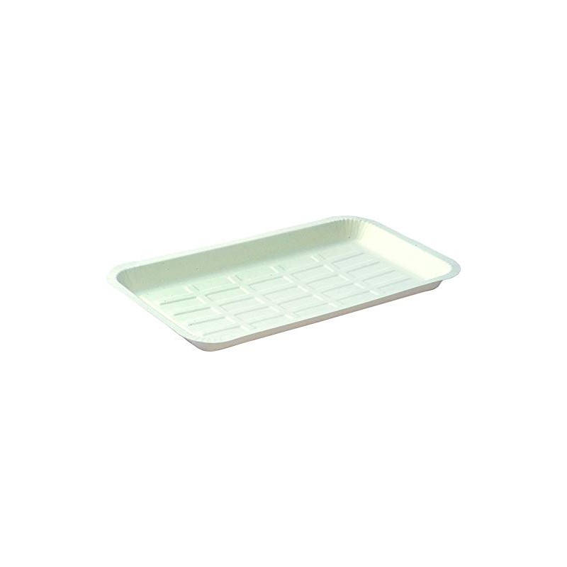 CT-5 Paperware Deep Rectangular Paper Plates, Clean Tray, 100 Sheets