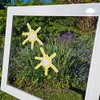 FlyEx Grömitzer Sun Magnets Instead of Stickers for Fly Screen