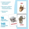 Doman Method Russian Flashcard Book Set for Learning Set -