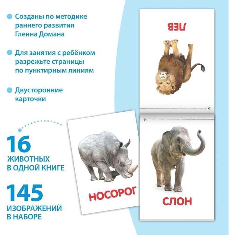 Doman Method Russian Flashcard Book Set for Learning Set -
