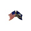 Navy - USA Military Friendship Enamel Lapel Pin