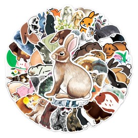 50 Pcs Rabbit Stickers,Rabbit Graffiti Stickers,Vinyl Waterproof Sticker for Kids Teens Girls,for Phone Laptop Water Bottles Skateboard Computer Phone Luggage Guitar Car Gifts Sticker