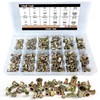 Trivd Frol Rivet Nut Tool Kit, 520pcs SAE & Metric
