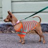 Dog Jumpers,Striped Dog Sweater,Coral Fleece Chihuahua Jumper,Winter Dog Coats,Dog Clothes