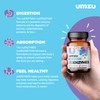 UMZU ZuEnzymes Digestive Enzymes Supplement | 21 Enzymes for Gut