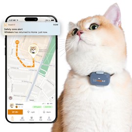 Pawfit Lite for Cats 4g GPS Tracker | Real Time Tracking | Activity Monitoring |Location History | Unlimited Range | Safety Collar Included | Lilac Grey