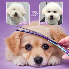Dream Reach Dog Chunker Scissors - Dog Blending Thinning Cat Grooming Chunkers Shear Rainbow 8"