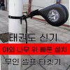Unknown 태권도발차기연습미트 벽걸이형 격투기훈련용품 고정식타겟 발차기자세교 Taekwondo Kicking Practice Mitt