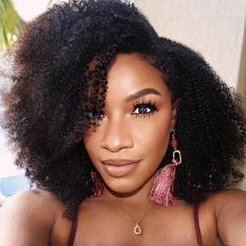 Wig Human Hair For Women Afro Kinky Curly Wigs 100% Human Hair Wigs Glueless None Lace Afro Hair Wigs 180% Density (14 Inch, Afro Wig None Lace)