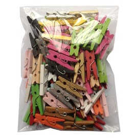 LWR CRAFTS Craft Wooden Mini Clothespins, 2.5cm Length, 15 Colors, 100 Pieces Per Pack (All)