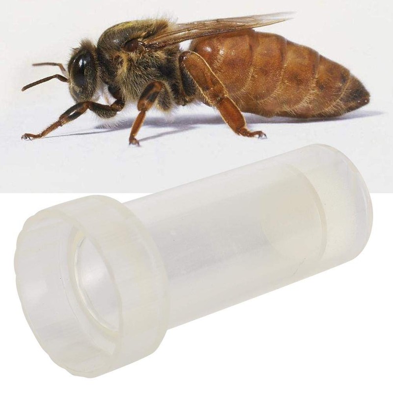 Zerodis Queen Bee Marker Bottle, Plastic Full Transparent Flat Beekeeper