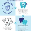 Fluoride Floss Picks - Enhanced Cavity Protection, Unflavored Floss Picks.