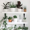 20 Pack 6 inch Shelf Brackets for DIY Floating Shelf,