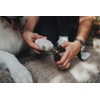 HUNTER SPA 12.5 x 5.0 cm Dog Cat Claw Clippers
