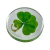 Real Four Leaf Clover Good Luck Pocket Token, Preserved, 1.25”,