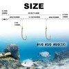 Eupheng High Low Saltwater Fishing Rigs Circle Hook/Bait Holder Hooks,