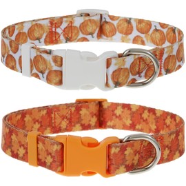 Fall Dog Collar, 2 Pack Autumn Collar for Medium Dogs, Cute Maple and Pumpkin Dog Collars for Boy Girl Dogs Thanksgiving
