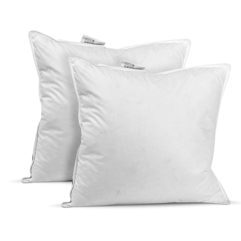 Pillowtex 18x18 Pillow Forms for Couches or Bedrooms, 80% White