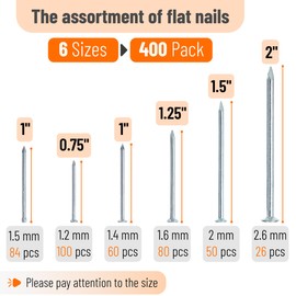 Mr. Pen- Nail Assortment Kit, 400 PCS, 6 Sizes, Silver, Small Nails for Hanging Pictures, Finishing Nails, Wall Nails for Hanging, Pin Nails, Hardware Nails, Assorted Nails, Galvanized Nails