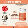 Sanutrition Kaneka Ubiquinol 200 mg | 60 Kapseln | Bioaktives