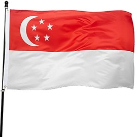 DANF Singapore Flag 3x5 Foot Flags Singaporean National Polyester with Brass Grommets 3 X 5 Ft
