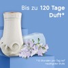 Glade Glade electric scented oil Nachfüller, elektrischer Raumduft Duftstecker mit