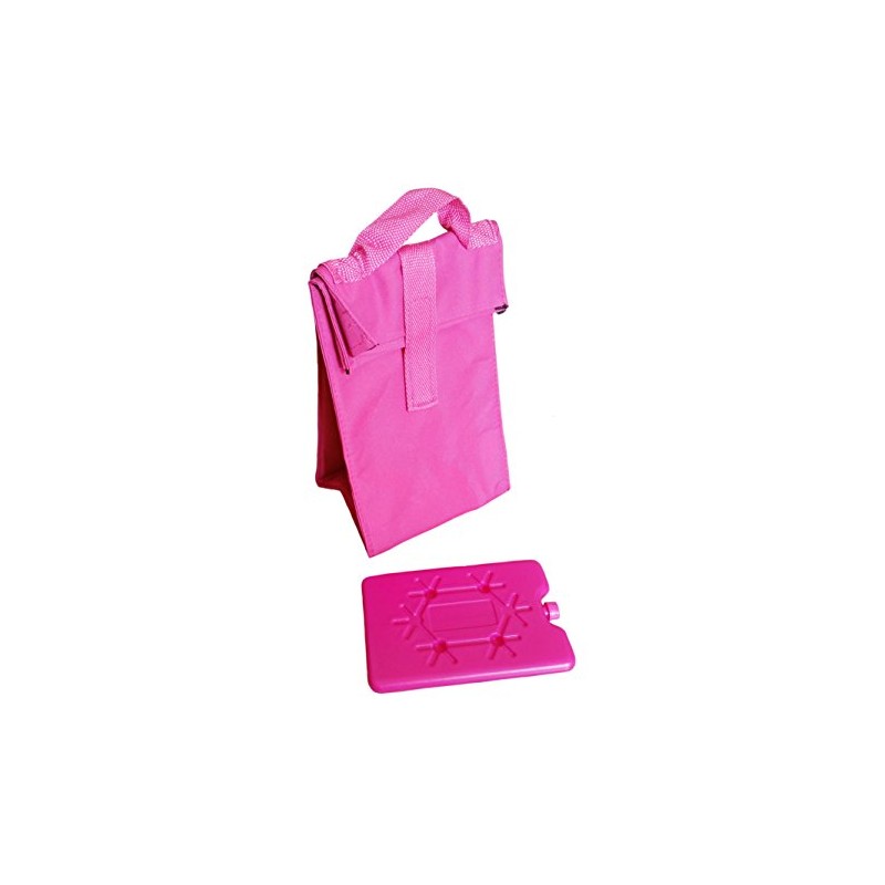 H&B Foldable Insulated Bag, Cooler Bag 25 x 17 x