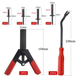 TOVOT 42PCS Poly Rivet Gun Set with Removal Tool 4 Types of Plastic Rivets Assortment Kit Quick Installation, for Auto Repair