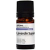 BIO - LAVANDIN SUPER Essential Oil - 5mL - 100%