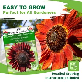 TKE Farms & Gardens - Chocolate Cherry Sunflower Flower Seeds for Planting, 50+ Flower Seeds, Non-GMO, Heirloom, Perfect for Your Flower Garden, Rare Flower Seeds, Instructions Included