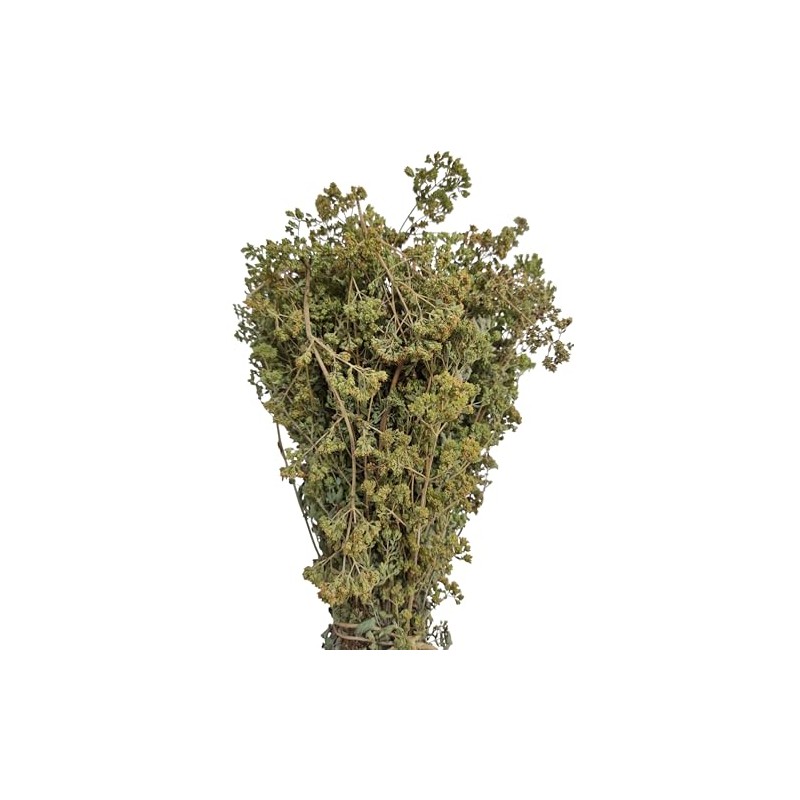 Certified Organic Greek Dried Mountain Oregano Bunch 85g - 1.95kg
