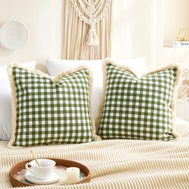 CARRIE HOME Sage Green Spring Outdoor Pillow Covers 20x20 Inches Set of 2, Green Farmhouse Gingham Pillow Covers, Spring Porch Decor Plaid Throw Pillows 20 x 20 with Tassel Trim (No Pillow Inserts)