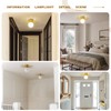 Soutas Globe Glass Ceiling Light Pull Chain Cord Ceiling Lamp