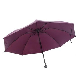 Montbell 1128701 Mont-bell Folding Umbrella, Men's, Women's, Lightweight, Trekking Umbrella, 55, purple (PU)