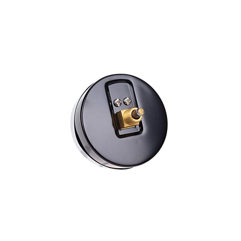 THERMIS Thermomanometer connection from the rear G1/2 (80 mm) 0-120°C