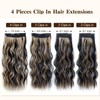 DOULIKE 20 Inch Curly Clip In Hair Extensions 200g 4PCs