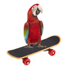 Parrot Toy Intelligence Training Toy Pet Bird Funny Training Playing Interactive Toy Parrot Skates Plastic Skateboard for Budgie Parakeet Cockatiel Conure Lovebird