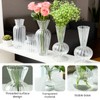 Odowalker Clear Flower Vase Set Small Glass Bud Vases Bulk