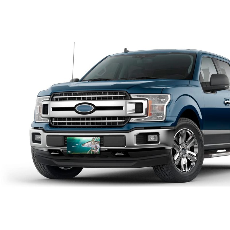 Salty Bones Snook License Plate