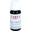 Ceres Thymus Vulgaris Mother Tincture