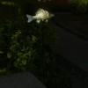 KAIXOXIN Solar Garden Lights Metal Fish Decorative Stake for Outdoor