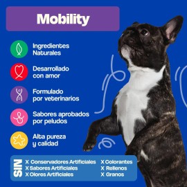 Suplemento Condroprotector Dogelthy Mobility para Perros, con Glucosamina y UC-II, Sabor Cerdo de 270g                                                