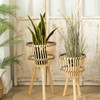 Woven Flower Pot Faux Rattan Planter High Living Room Floor